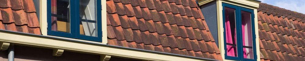 Dakrenovatie Honselersdijk