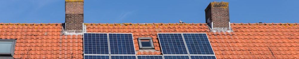 Dakinspectie Honselersdijk