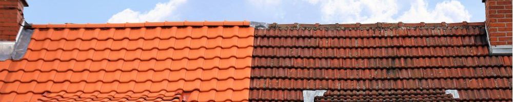 Nieuw dak in Honselersdijk